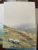 **badly made books, designed & made in Ireland from recycled paper