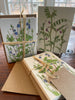 Kilcoe Studio Blank Notes -6 per pack