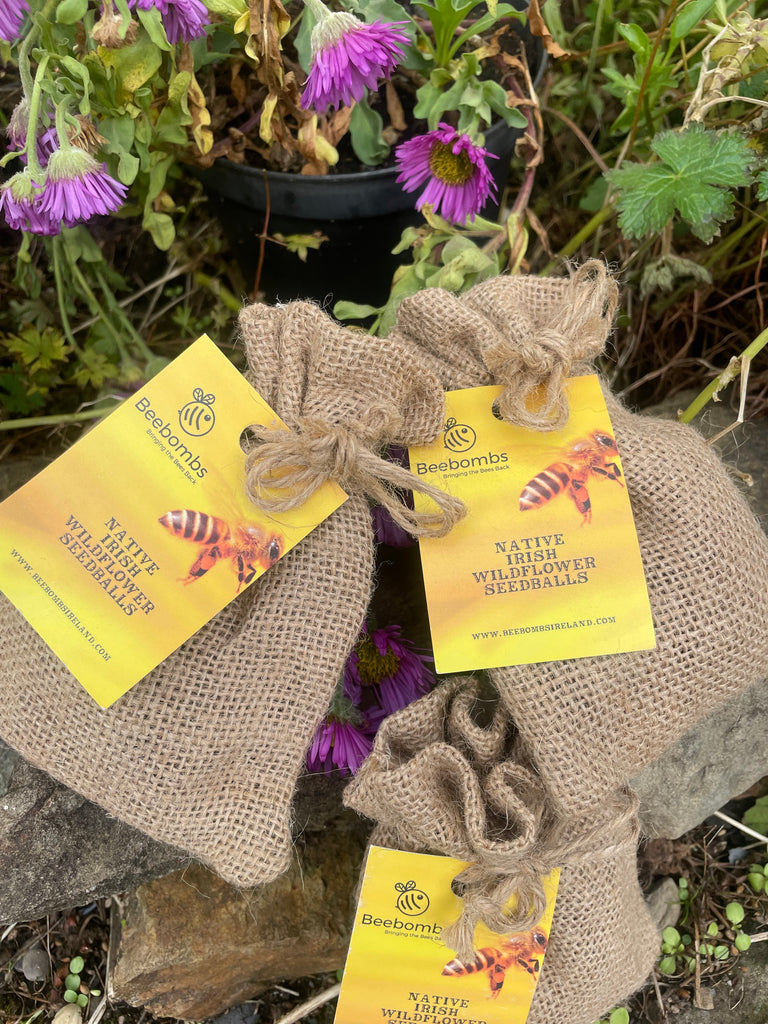 native wildflower seeds ireland Native IRISH Wildflower Seedballs – Nora Nora Irish Imports