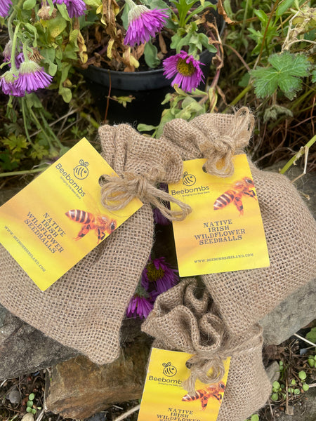 **Native IRISH Wildflower Seedballs