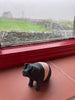 Wilbur the Pig by Ann Hayes