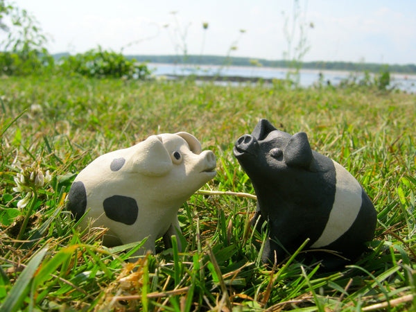 Wilbur the Pig by Ann Hayes