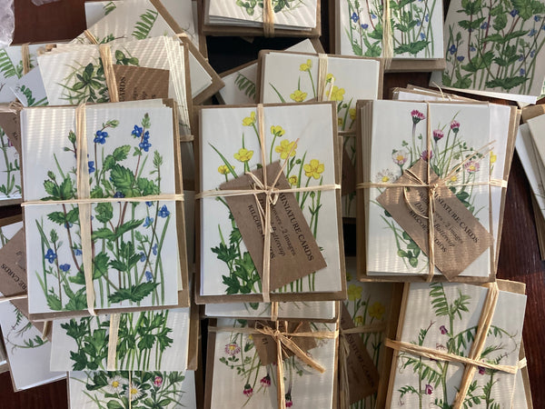 Kilcoe Studio Blank Notes -12 per pack