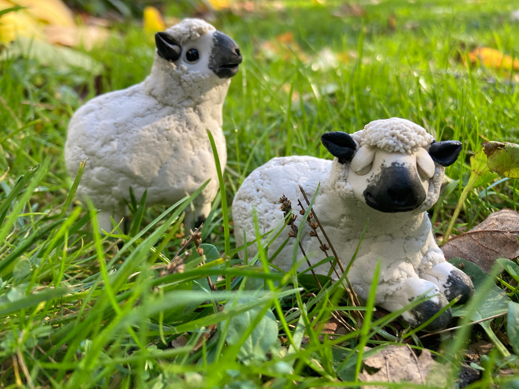Baaaa - Walter the Woolly Sheep by Ann Hayes