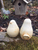 Ballymorris Bird S/P Shakers